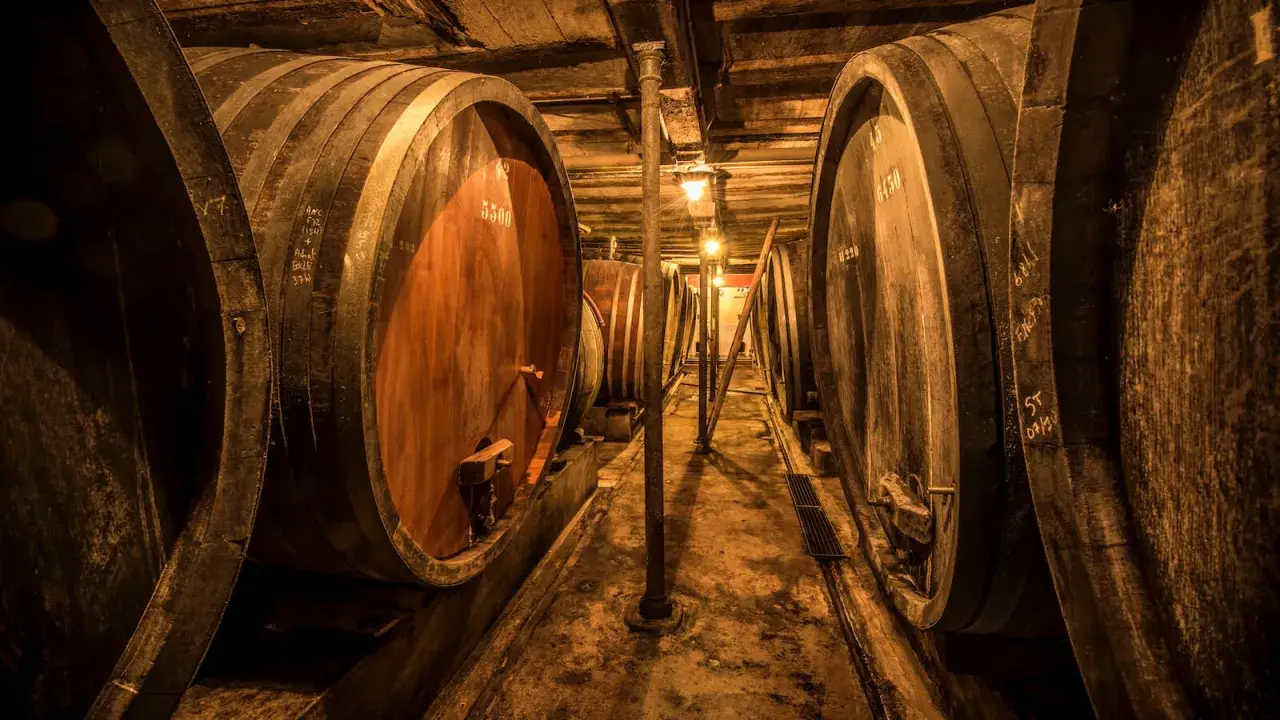 Cave à vin sombre avec de grands fûts en bois, certains marqués "Jean Baptiste Adam". Lumière tamisée éclairant les tonneaux.
