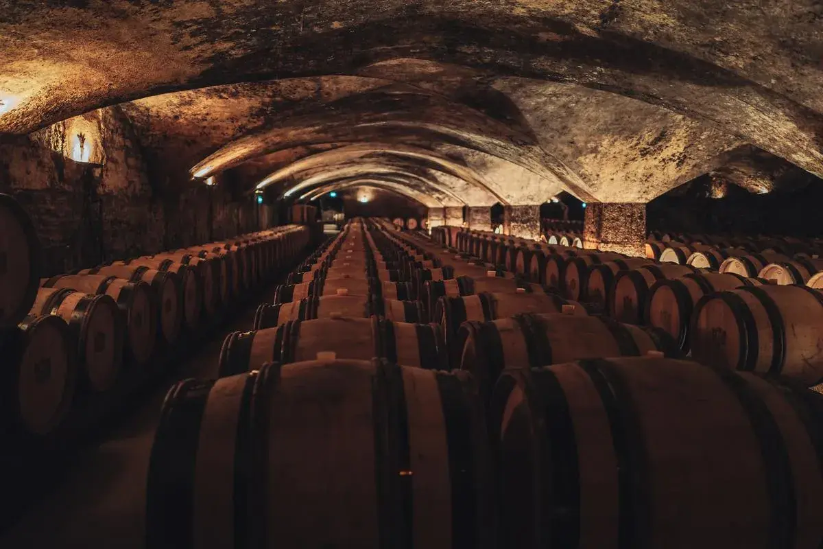 Cave voûtée remplie de rangées de fûts de chêne en bois.