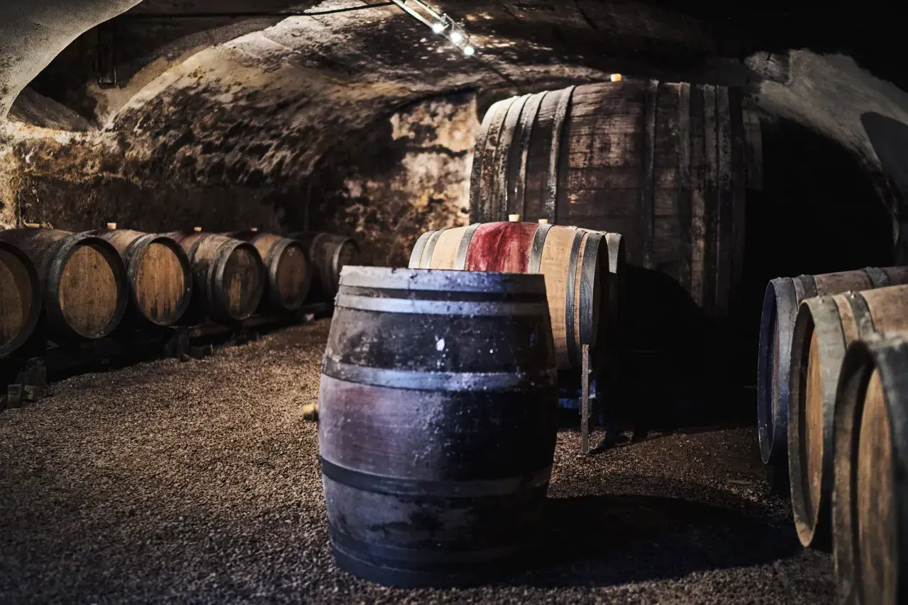 Cave voûtée du **château grange cochard** remplie de fûts de chêne anciens, certains marqués de rouge, attendant patiemment le vieillissement du vin.