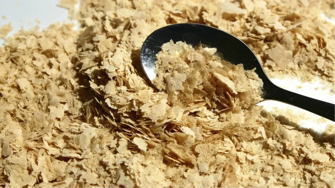 Une cuillère remplit de levure de bière probiotique, une poudre dorée et floconneuse, prête à être ajoutée à vos plats pour un boost nutritionnel.