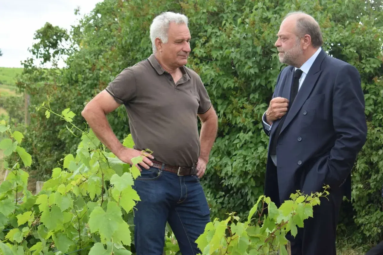 Deux hommes discutent au milieu des vignes du Clos de la Roilette. L'un porte un polo marron et jean, l'autre un costume sombre.