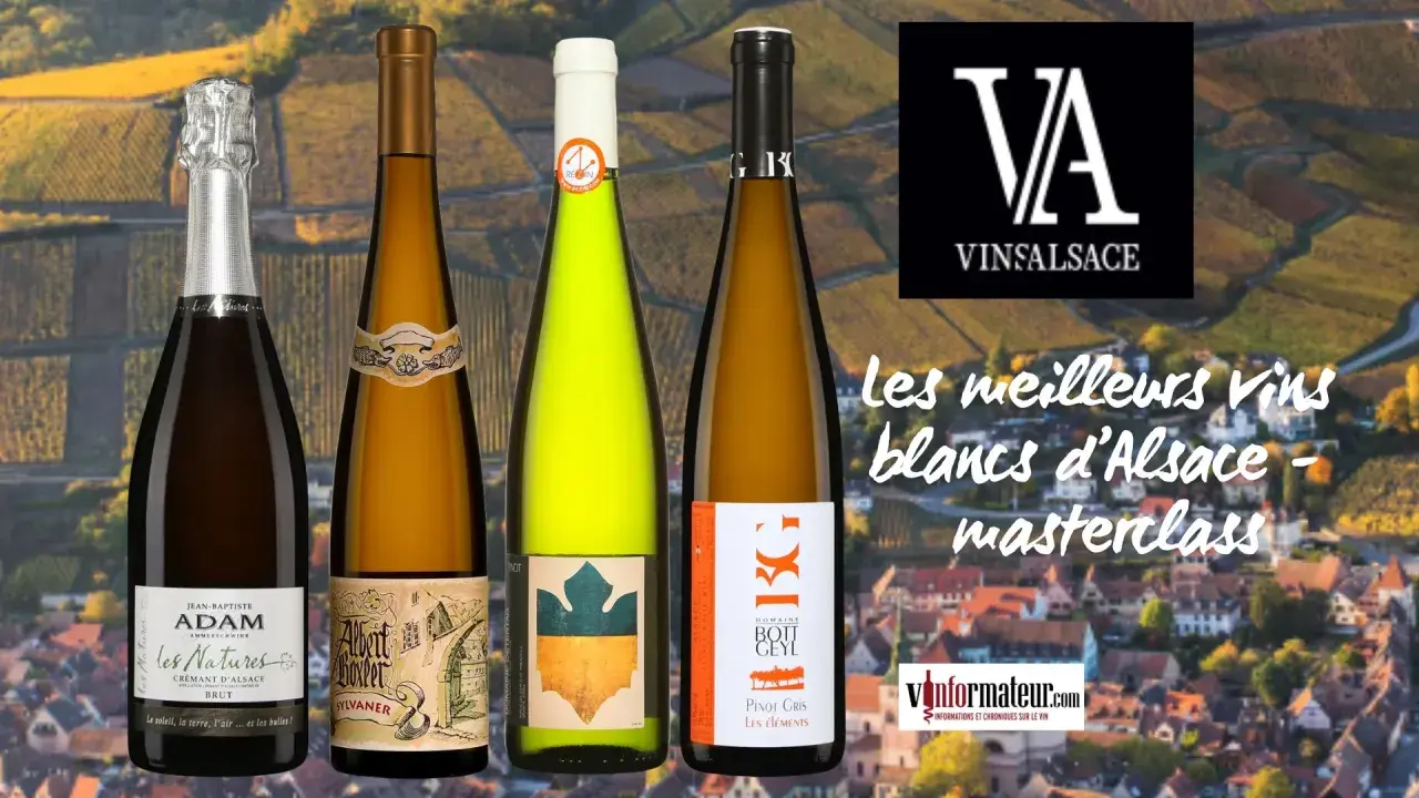 Quatre bouteilles de vin d'Alsace, dont un Albert Boxler Sylvaner, sur fond de vignobles.