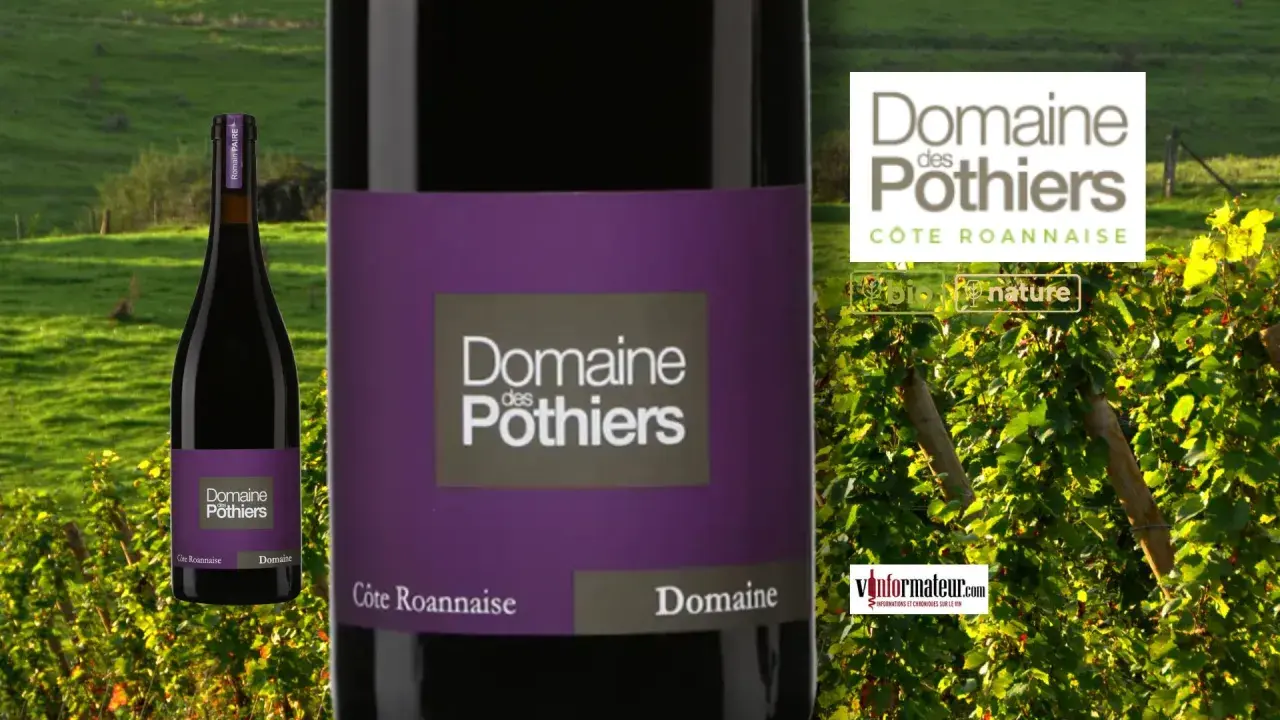Bouteille de vin rouge du **Domaine des Pothiers** sur fond de vignoble et de collines verdoyantes.