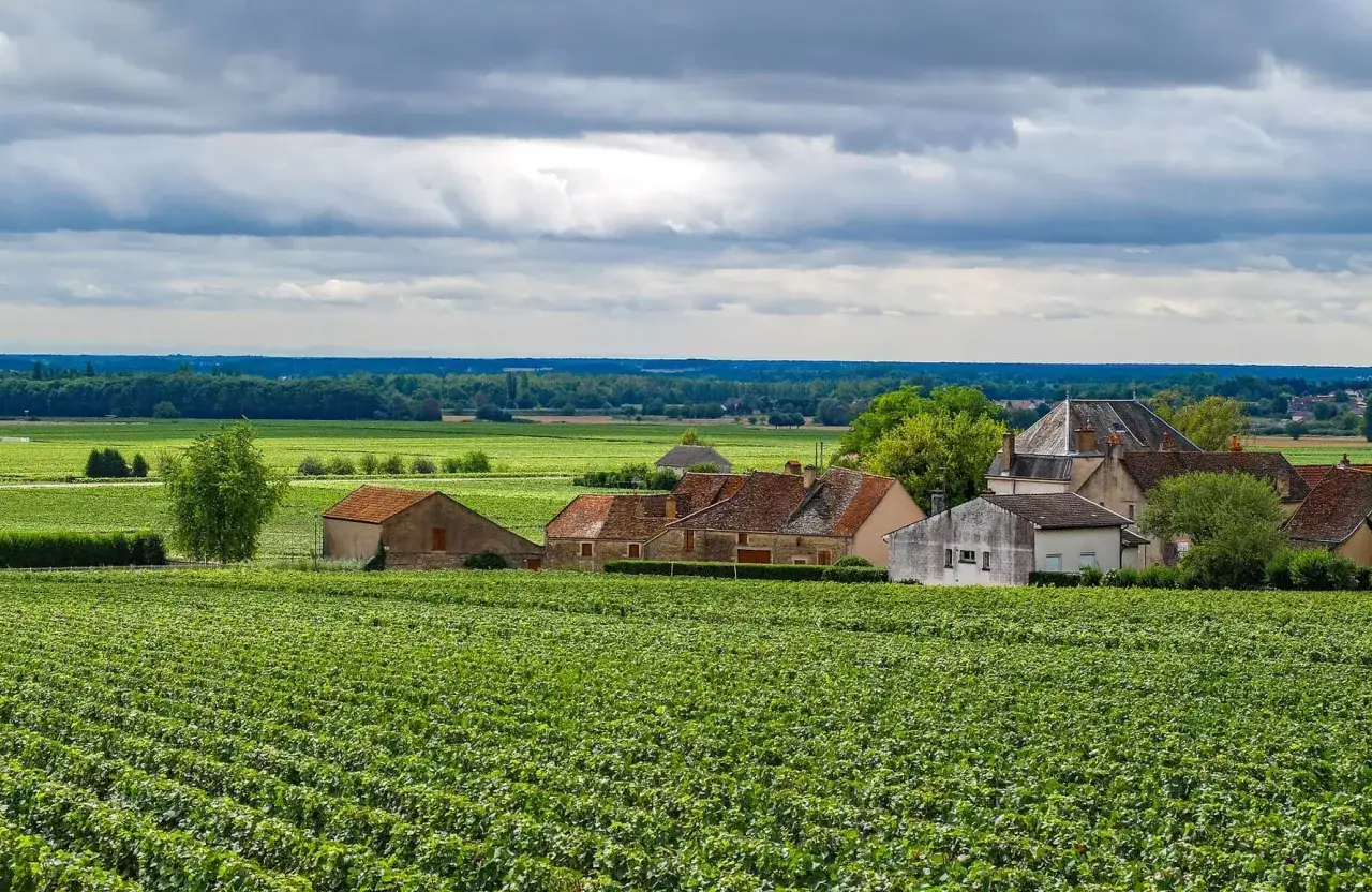 Paysage de vignoble verdoyant sous un ciel nuageux, avec des maisons aux toits de tuiles rouges. La tollot beaut de la campagne française est saisissante.