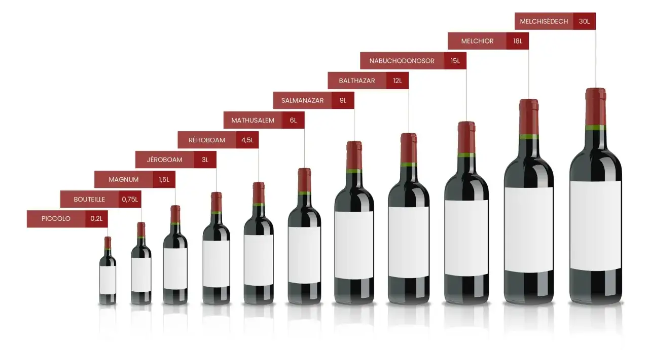 Comparaison de la taille bouteille : du Piccolo (0,2L) au Melchisédech (30L), une collection impressionnante.