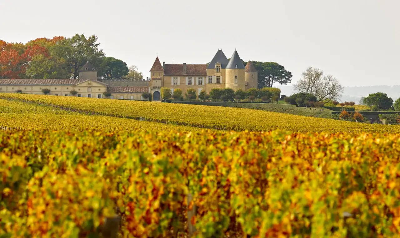 Ch&acirc;teau de Luze, domaine viticole d'Alexandre de Lur Saluces, baign&eacute; par la lumi&egrave;re automnale.