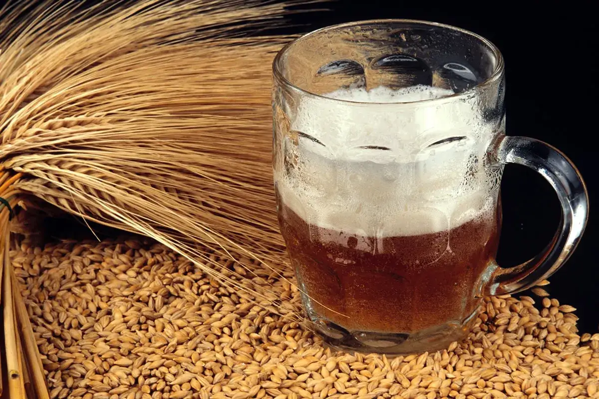 Mousse on&eacute;reuse dans un verre, entour&eacute;e de grains d'orge ou de bl&eacute; et d'&eacute;pis dor&eacute;s.