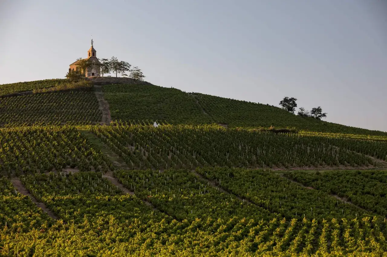 Chapelle sur la colline surplombant les vignes du clos de la roilette.