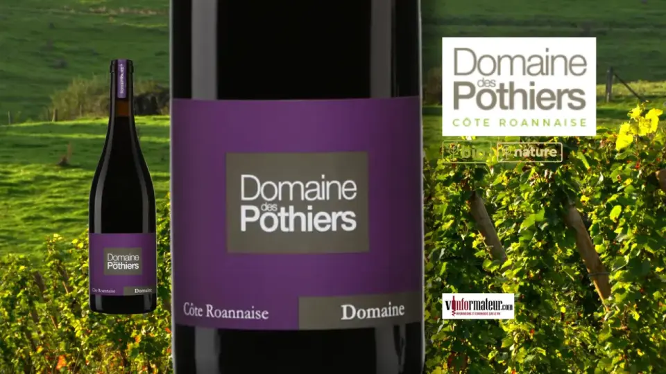Domaine des Pothiers - Maîtrisez les vins de Côte Roannaise